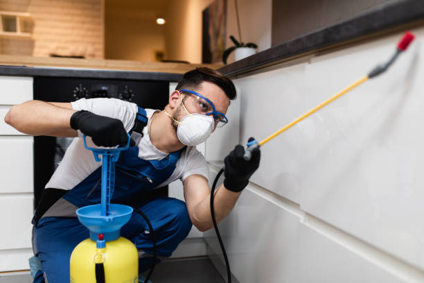 Best Emergency Pest Control  in Mcmechen, WV