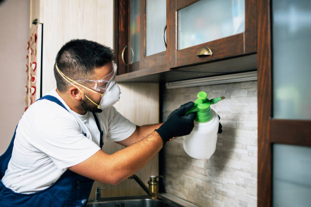 Best Mosquito Control Services  in Mcmechen, WV