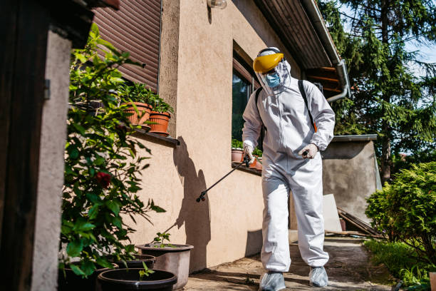 Best Pest Control for Restaurants  in Mcmechen, WV