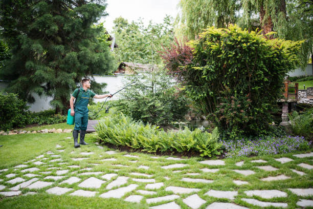 Best Best Pest Control Companies  in Mcmechen, WV