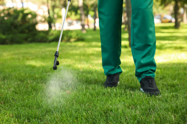 Pest Control for Restaurants in Mcmechen, WV