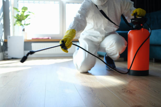 Best Local Pest Control Services  in Mcmechen, WV