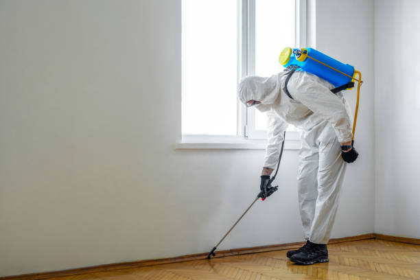 Best Affordable Pest Control Services  in Mcmechen, WV