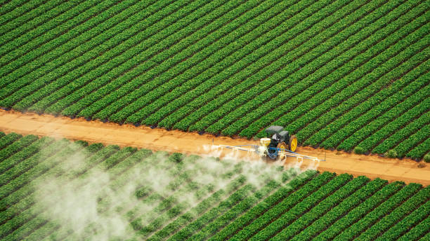 Best Commercial Pest Control Services  in Mcmechen, WV