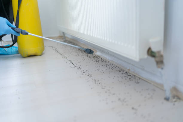 Best Best Pest Control Companies  in Mcmechen, WV